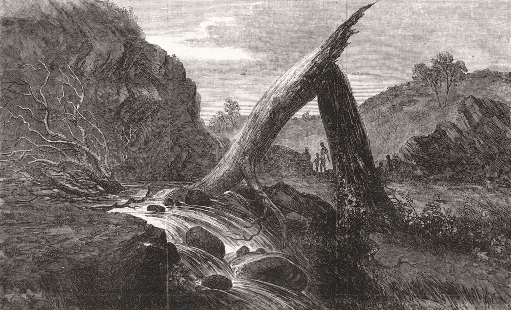 Associate Product AUSTRALIA. River fall in the Interior of Australia, antique print, 1857