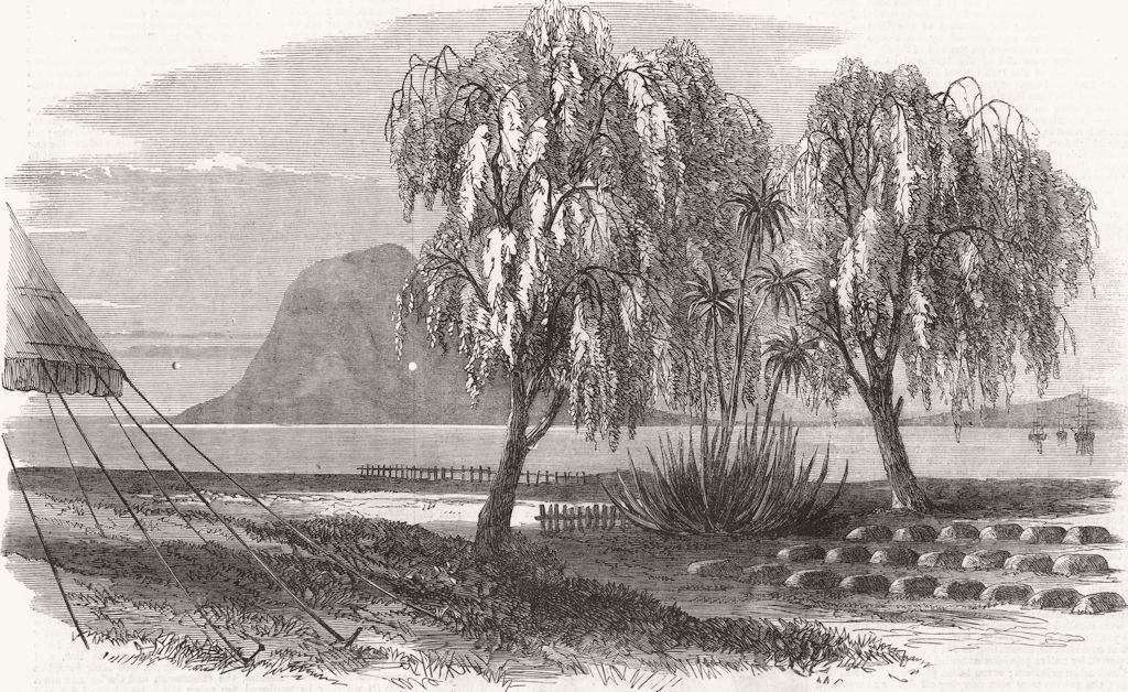 Associate Product NEW ZEALAND.Cemetery Tauranga,Graves Ofcs. troops killed Puke Wharangi Pah, 1864