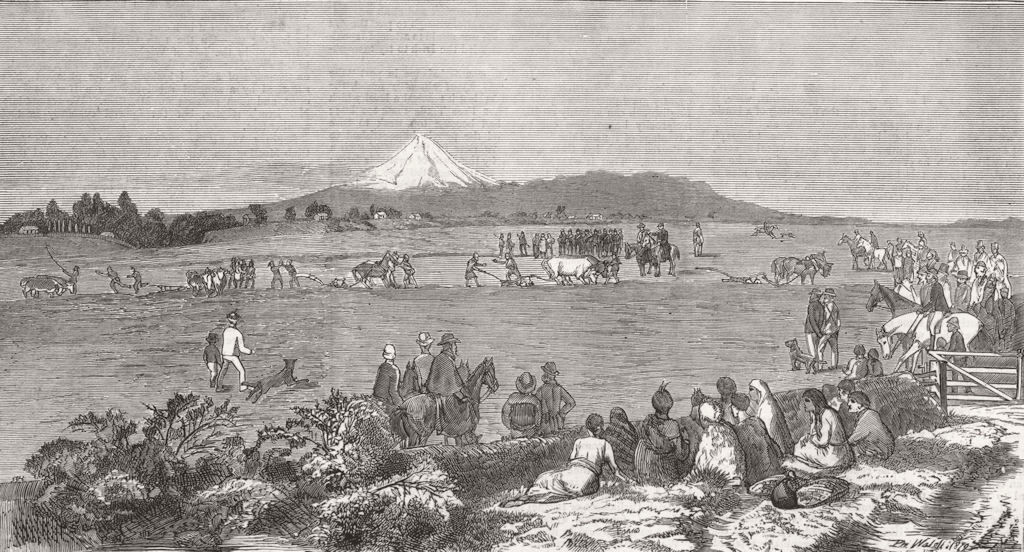 Associate Product MAORIES.Arrests for ploughing land of European settlers in Taranaki, print, 1879