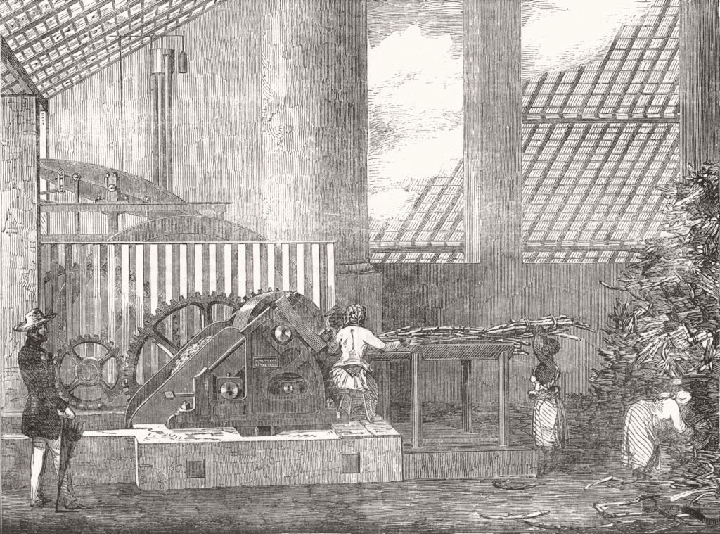 Associate Product FARMING. Brazilian Sugar-Mill, antique print, 1854