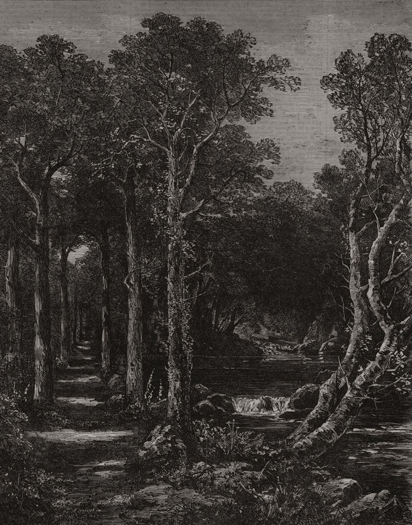 Paris International Exhibition: works of art - "Through the wood", print, 1867