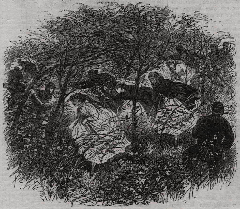 Through the woods to the Wrekin The Pursuit of Science Under Difficulties 1865