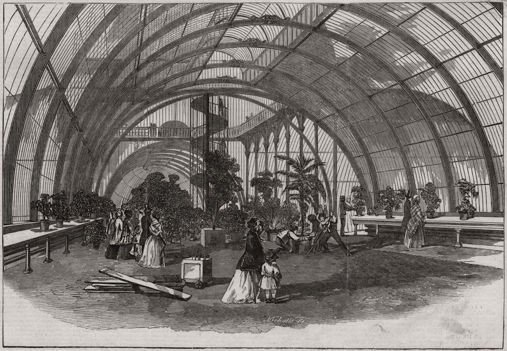 Interior of the great Palm-House. Kew, antique print, 1848