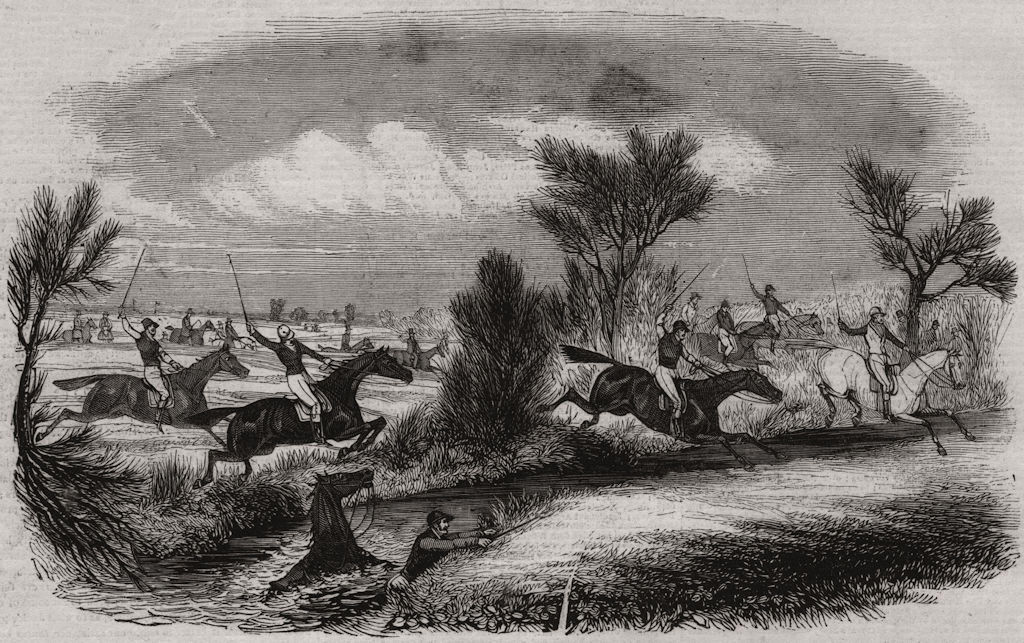 Taking the brook. Horses, antique print, 1844