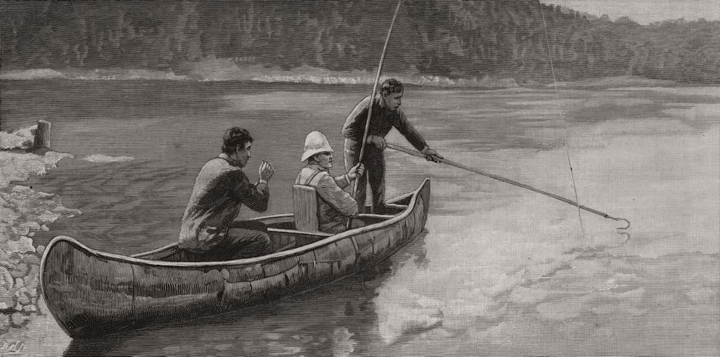 Associate Product Salmon-fishing. On the Restigouche: gaffing from a boat. New Brunswick, 1890