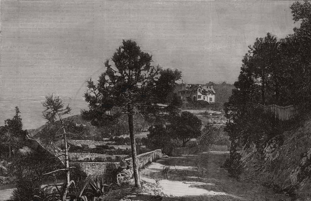 Associate Product Queen Victoria's visit to the Riviera. View of Villa Edelweiss. Cannes, 1887