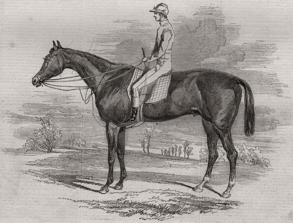 Associate Product Portrait of Ratan. Horses, antique print, 1844