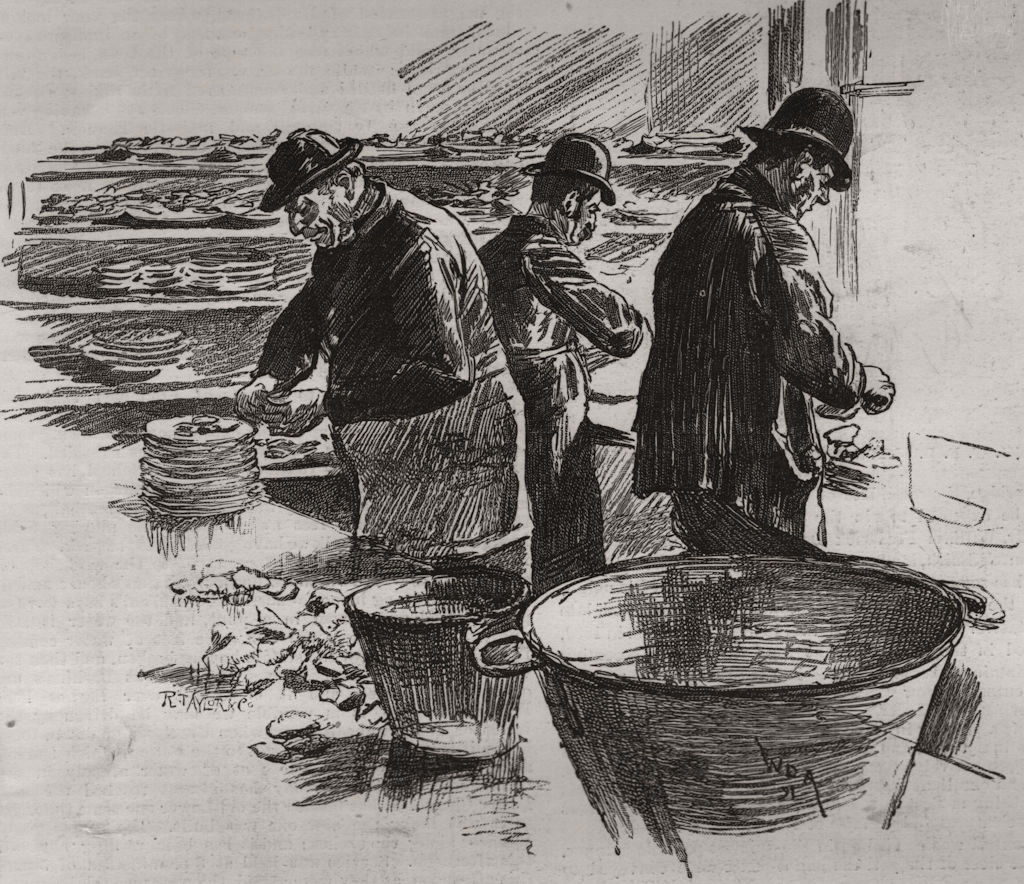 Associate Product The Colchester oyster feast. Opening the oysters. Essex, antique print, 1891