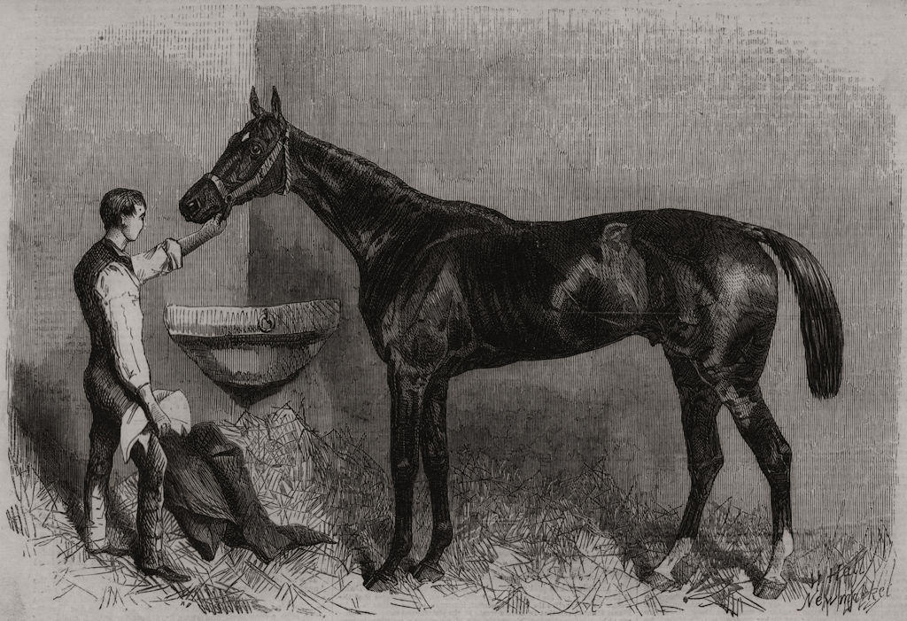 The Goodwood Races: Starke, the winner of the Goodwood Cup. Sussex 1861 print