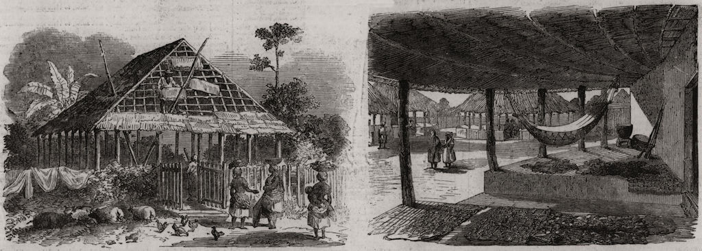 Bambooing a house. Interior of piazza. Sierra Leone 1856 old antique print