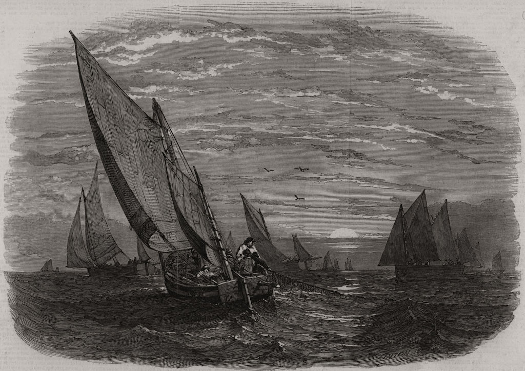 Associate Product Mackerel fishing. Brighton Boats. Sussex, antique print, 1847