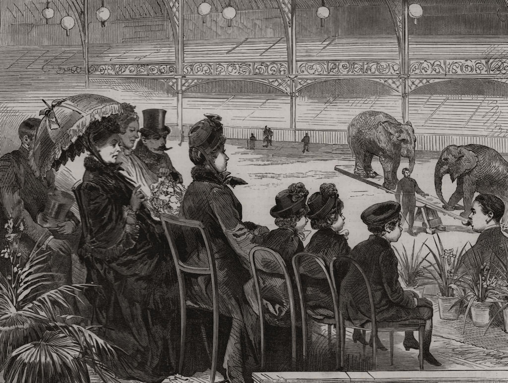 The Queen at Olympia, West Kensington. London. Elephants 1887 old print