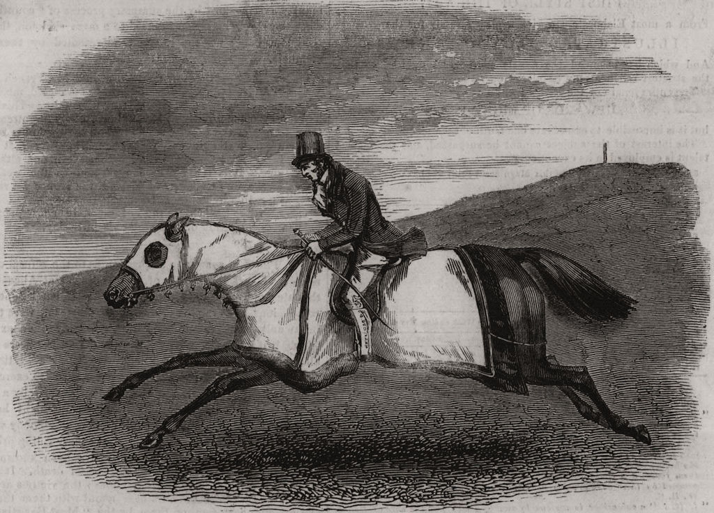 Associate Product Horse training. Horses, antique print, 1845