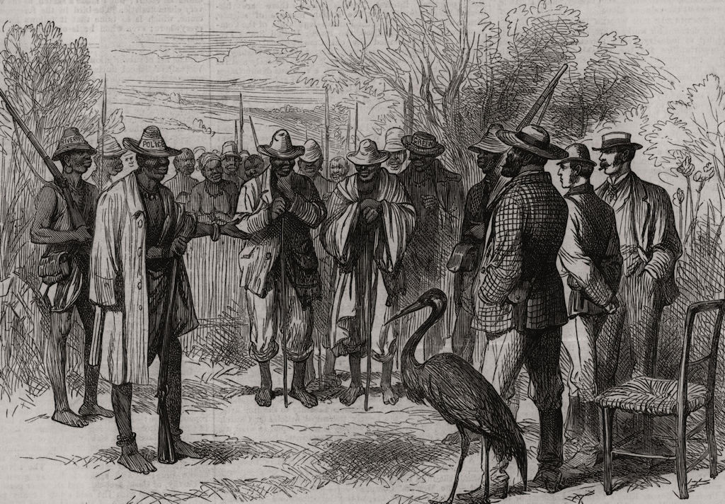 The Kaffir War: Farmer Hall and his Kaffir prisoners. South Africa 1878 print