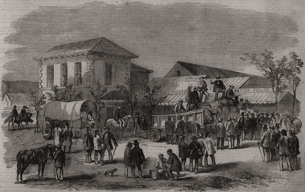 Associate Product Sale of sugar in Durban market square, Port Natal (Durban) . South Africa, 1856