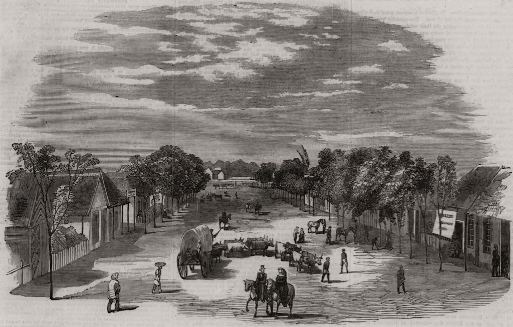 Associate Product West Street, Durban, Natal. South Africa, antique print, 1857