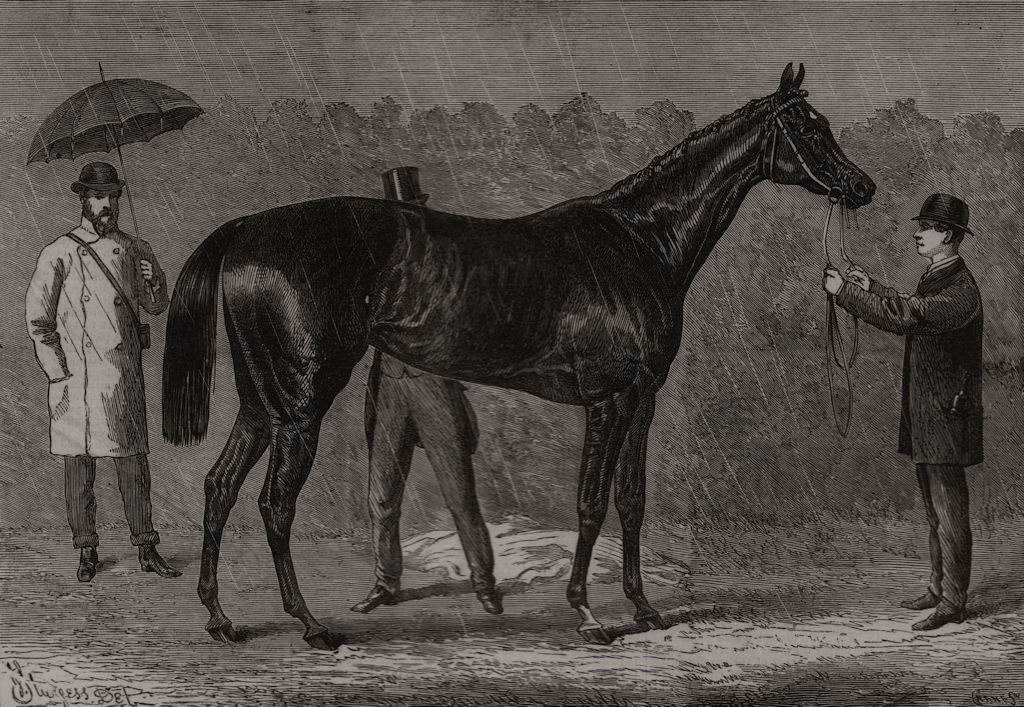 Associate Product Spinaway, the winner of the Oaks. Epsom 1875 old antique vintage print picture