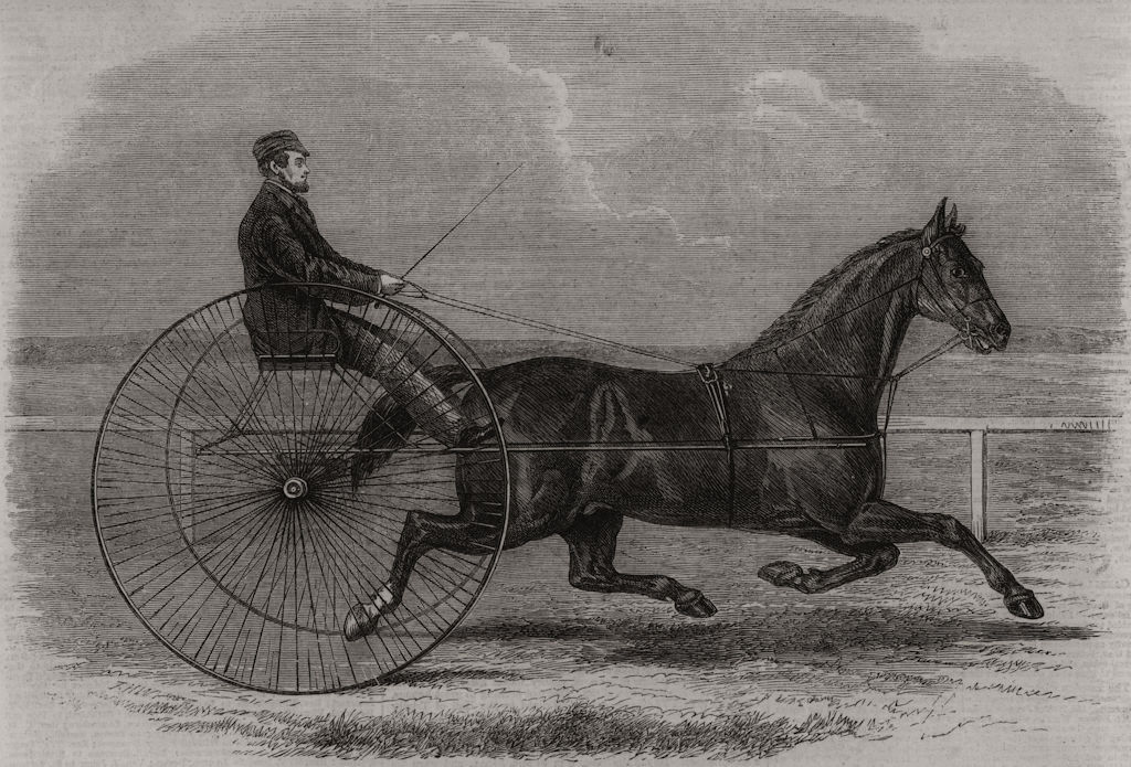 Associate Product Jackey, the winner of the late Aintree Trotting Stakes at Liverpool 1861 print