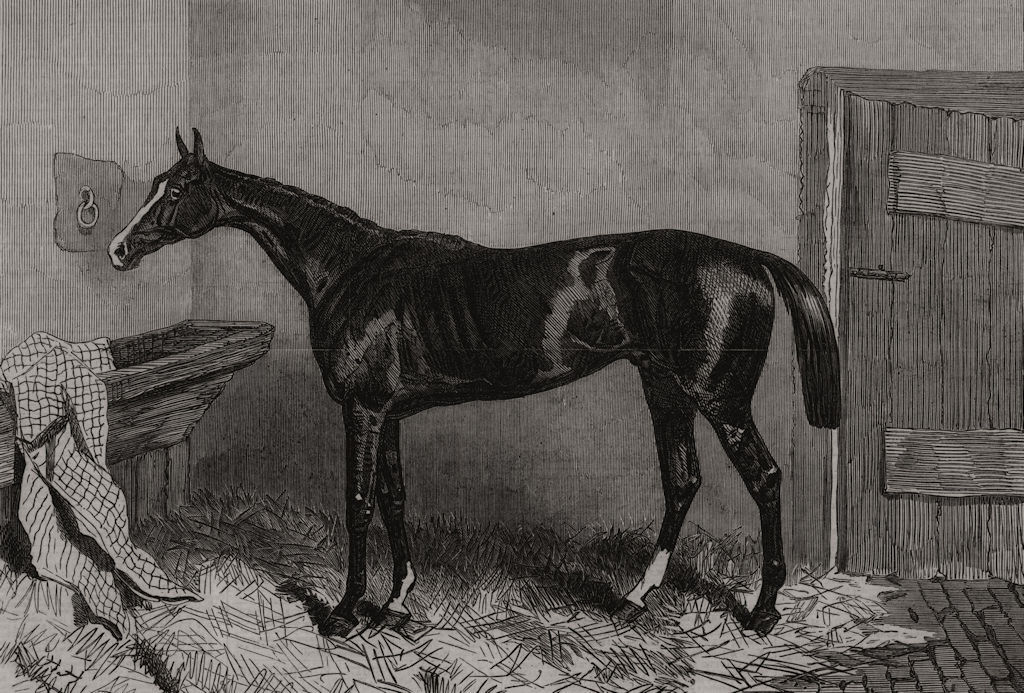 Associate Product Caractacus, winner Of The Derby. Surrey 1862 old antique vintage print picture