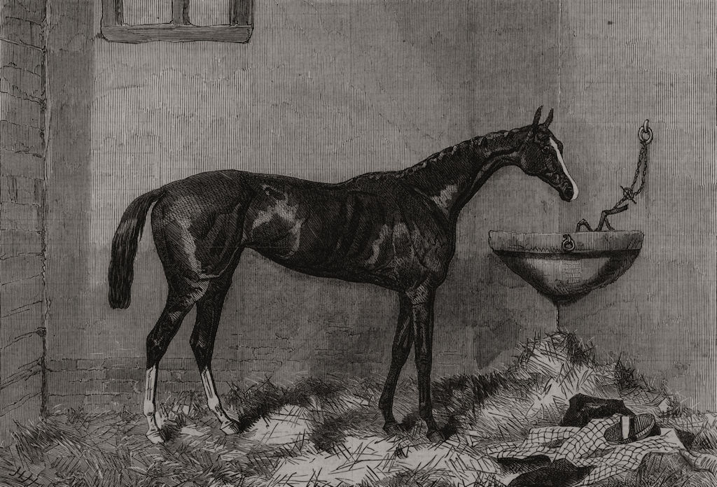 Feu-de-Joie, winner of the Oaks. Epsom, antique print, 1862
