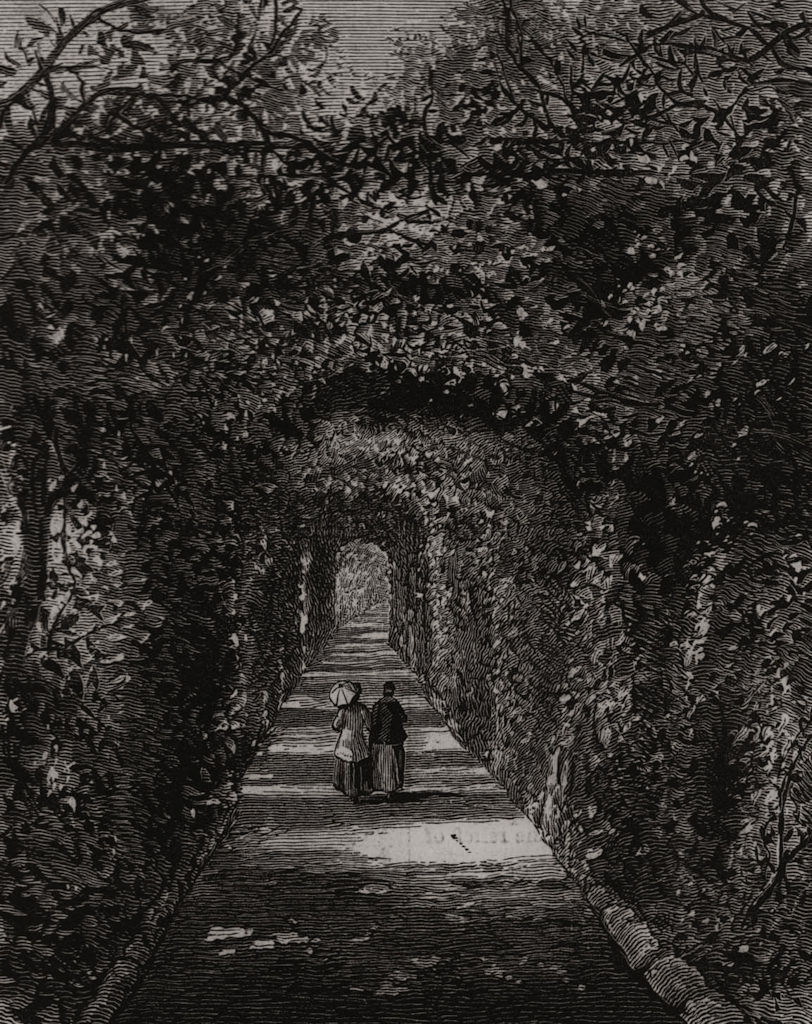Associate Product Dr. Henry Bennet's garden, near Menton. Alpes-Maritimes, antique print, 1882