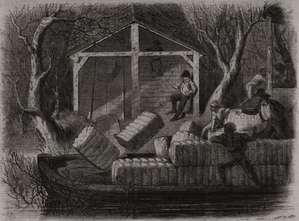 Associate Product Loading cotton bales onto the river-steamer Magnolia, Alabama River, print, 1861
