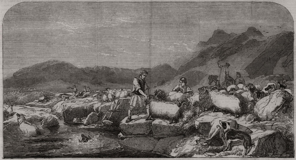 " Sheep-washing, Isle of Skye, Glen Sligisham. ". Scotland, antique print, 1852