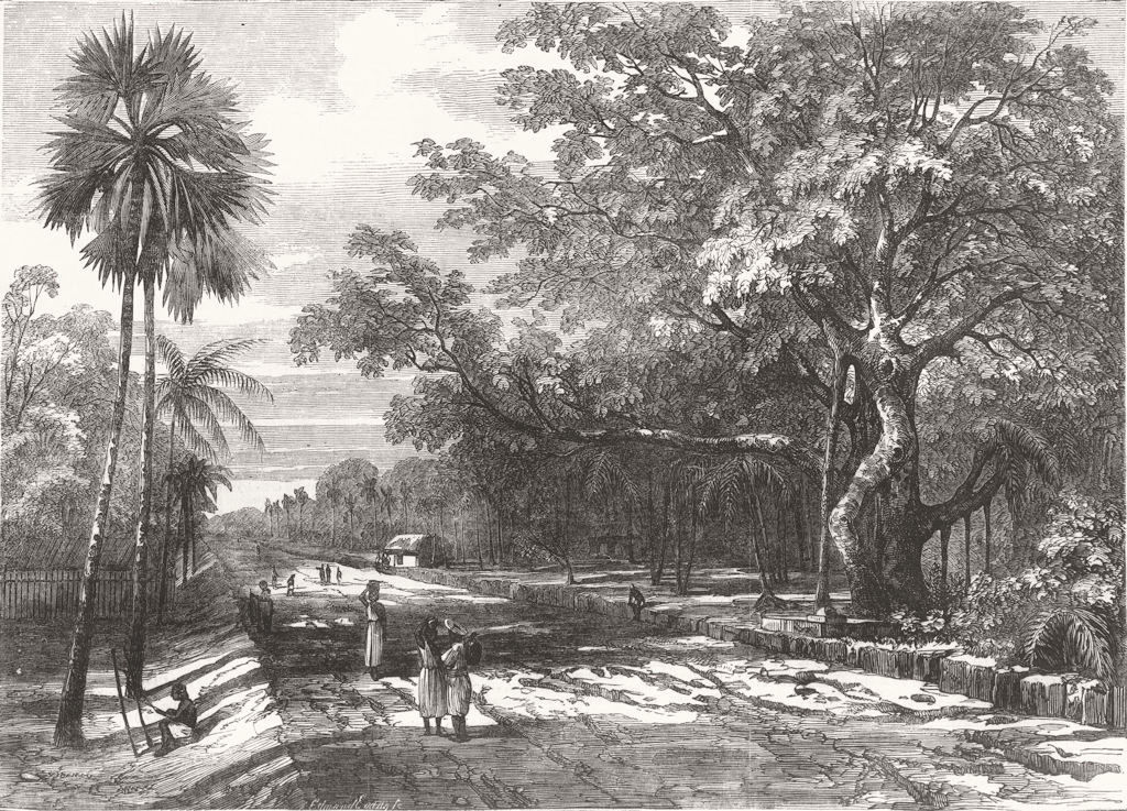INDIA. Railway Embankment, near Srirampur 1853 old antique print picture