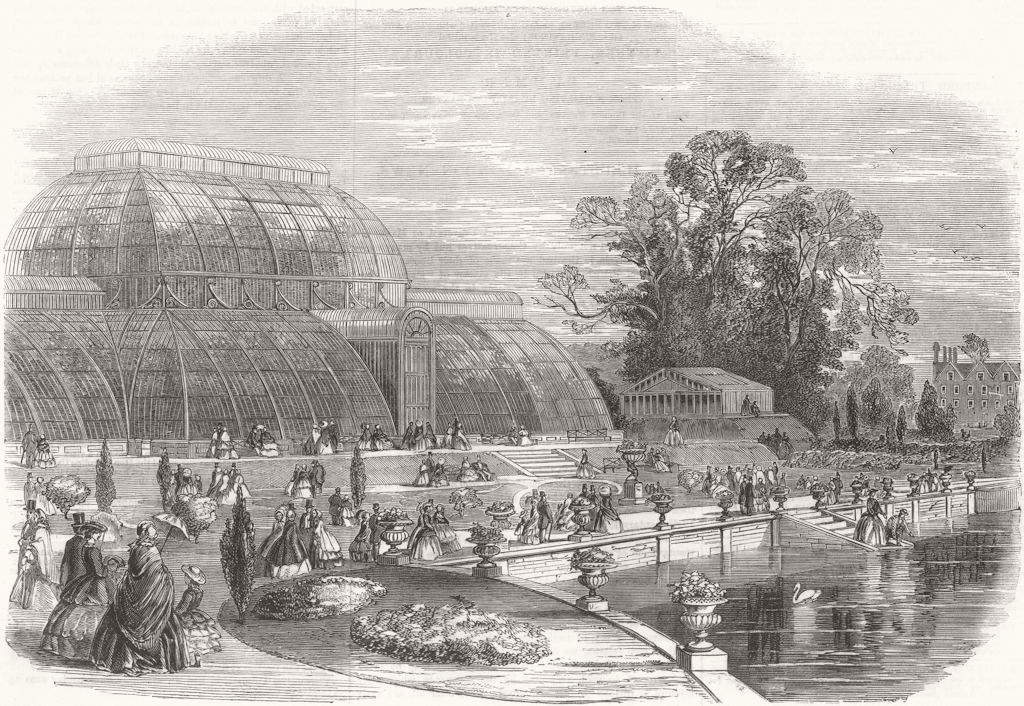 The Palmhouse, Kew Gardens, London 1859 old antique vintage print picture