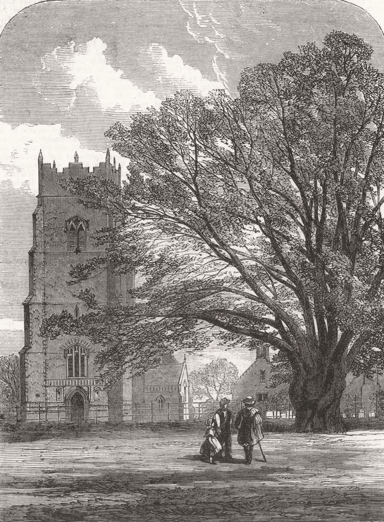 SUFFOLK. Helmingham Church, Suffolk 1864 old antique vintage print picture