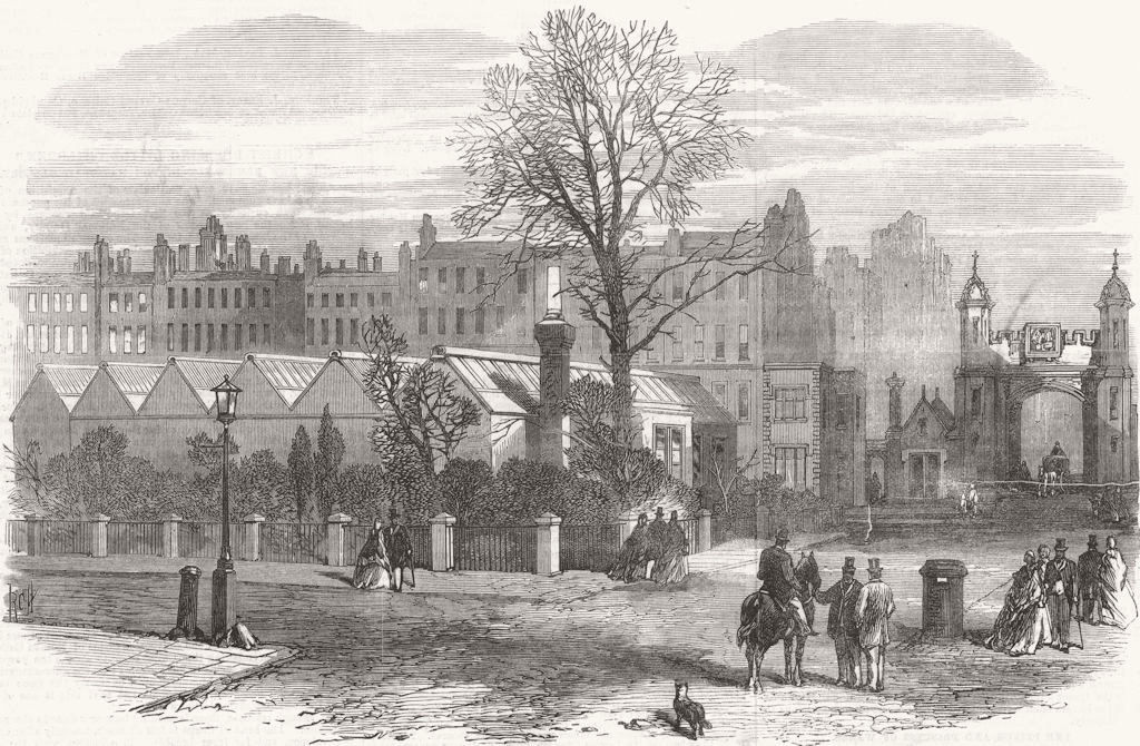 LONDON. Temporary building, New Sq, Lincolns Inn 1867 old antique print