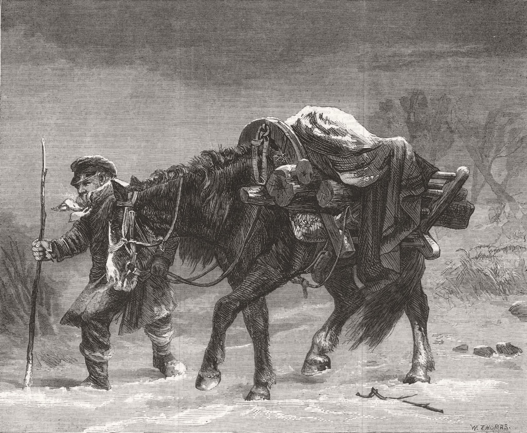 HORSES. Winter. Fine Art 1867 old antique vintage print picture