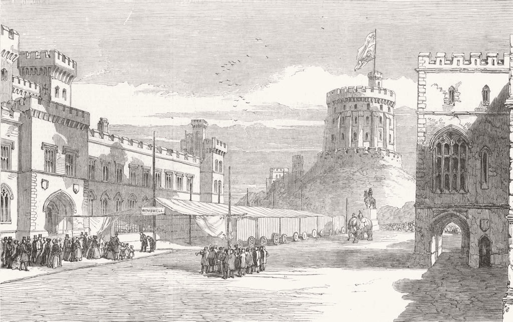 BERKS. Wombwells Menagerie, Quad, Windsor Castle 1847 old antique print