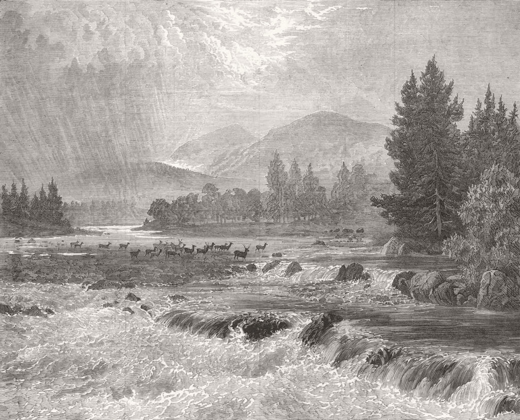 SCOTLAND. Showers-Glentanner forest, Aberdeenshire 1873 old antique print