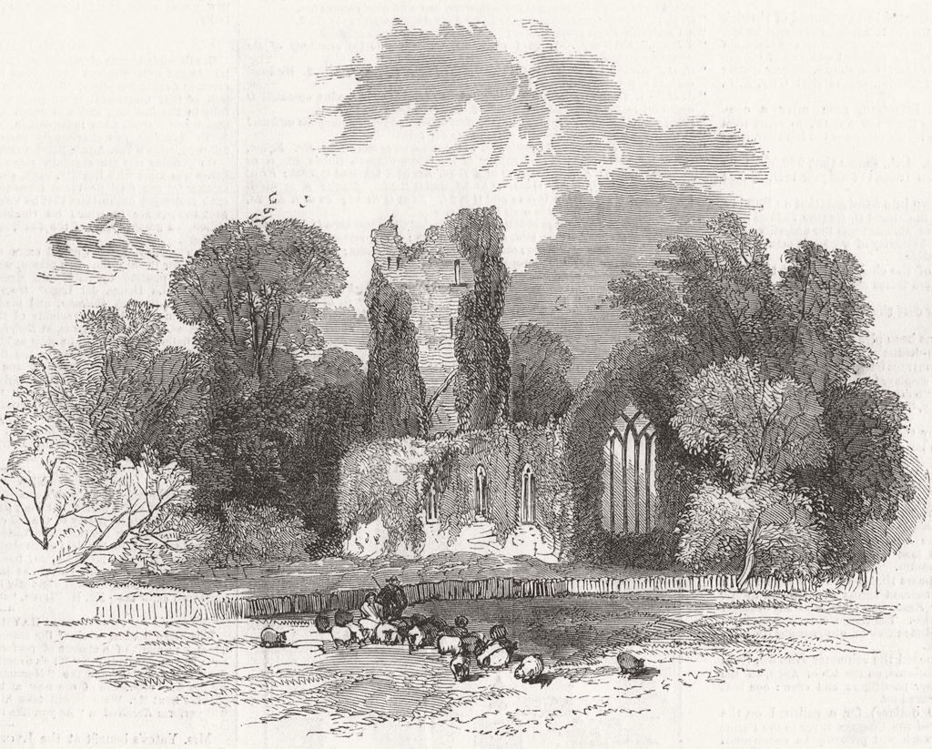 IRELAND. Muckross Abbey 1849 old antique vintage print picture