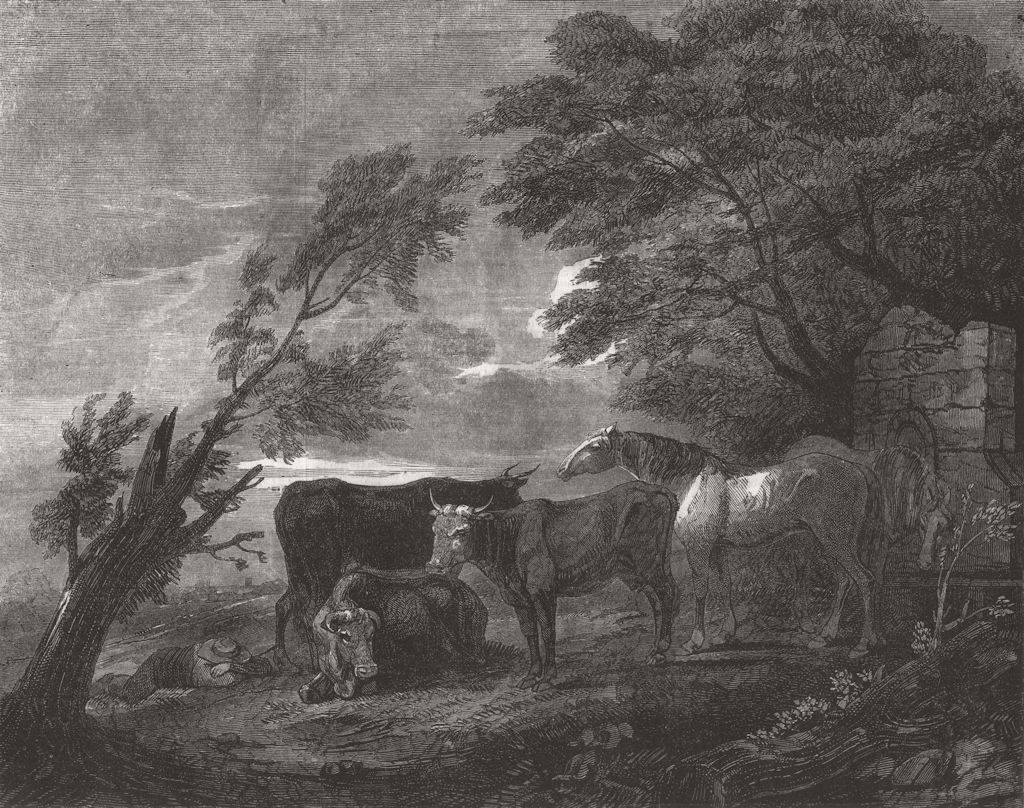 COWS. Repose 1846 old antique vintage print picture