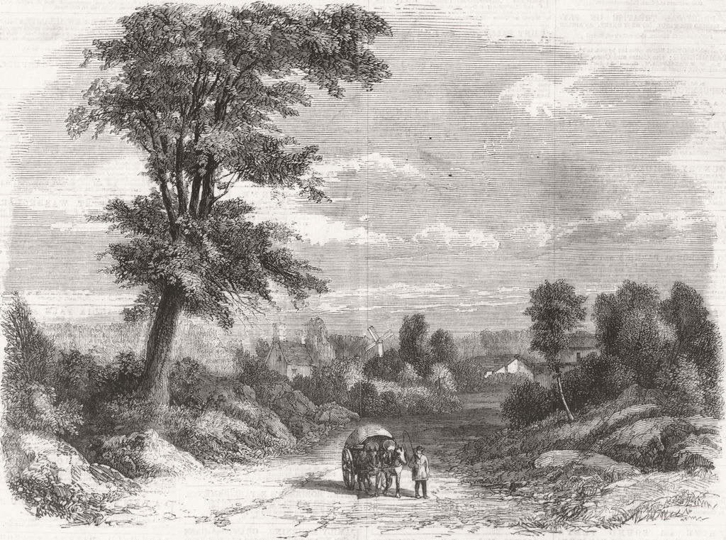 BELGIUM. Wellington tree, Field of Waterloo 1860 old antique print picture