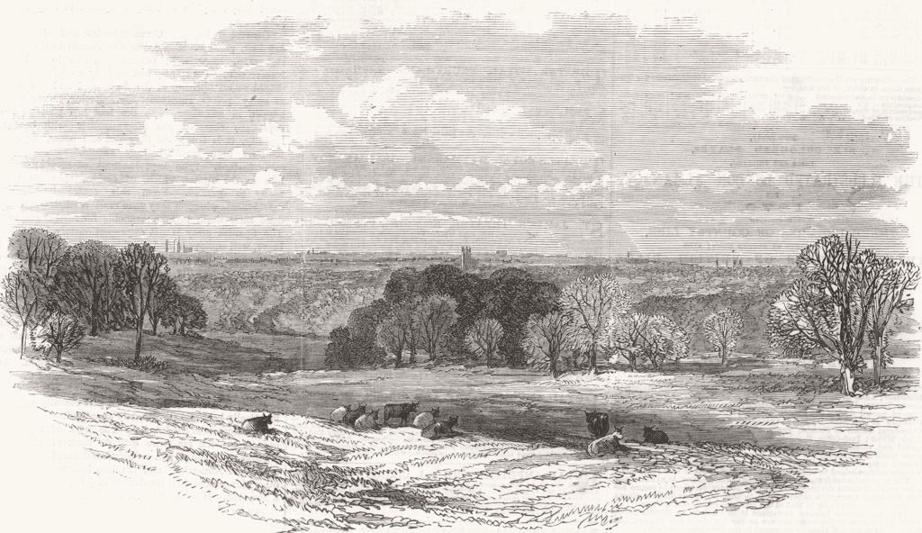 LANCS. View, Knowsley Park, looking towards Liverpool 1869 old antique print