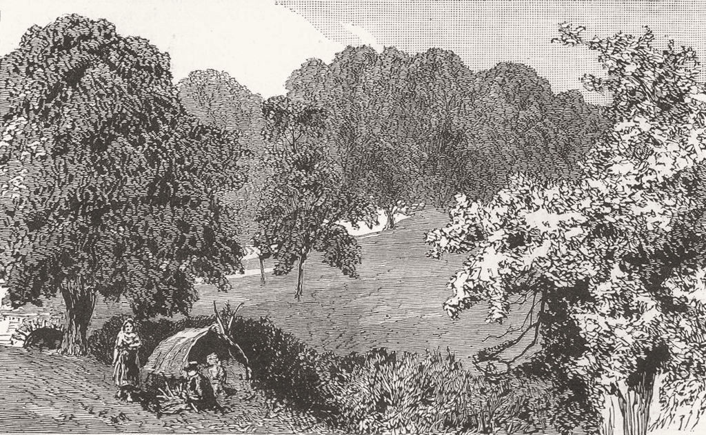 HAMPSTEAD HEATH. Trees behind Viaduct 1887 old antique vintage print picture