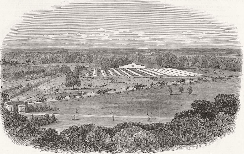 WINDSOR. Agricultural show from Castle 1851 old antique vintage print picture