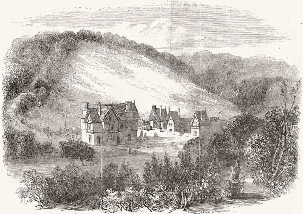 Caterham Railway, Station & hotel. Surrey 1856 old antique print picture