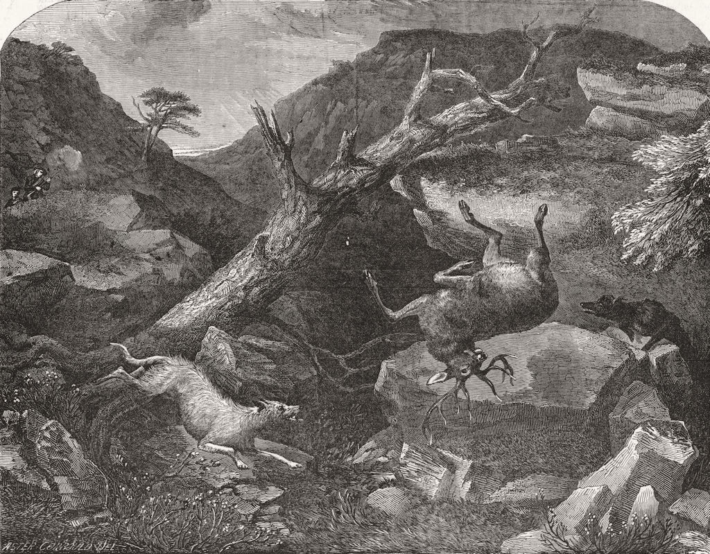 HUNTING. Deer-Stalking-falling 1849 old antique vintage print picture