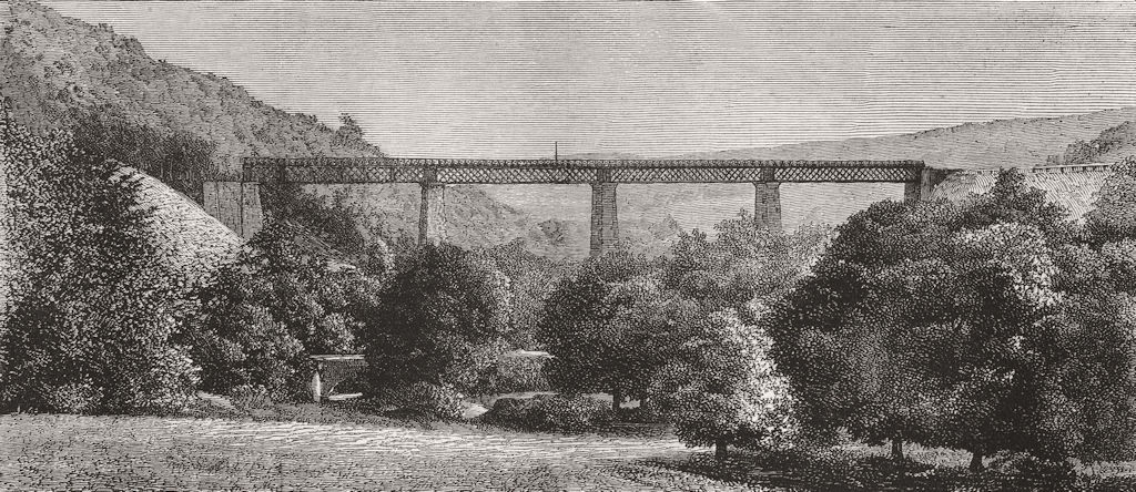 DEVON. New & Somt Railway-Tone Valley Viaduct 1873 old antique print picture