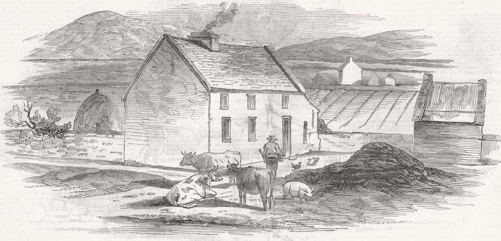 IRELAND. Rynard 1846 old antique vintage print picture