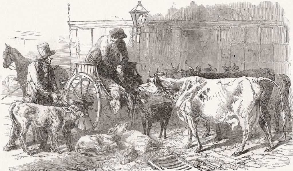 LONDON. Smithfield market-Calves & Oxen 1849 old antique vintage print picture