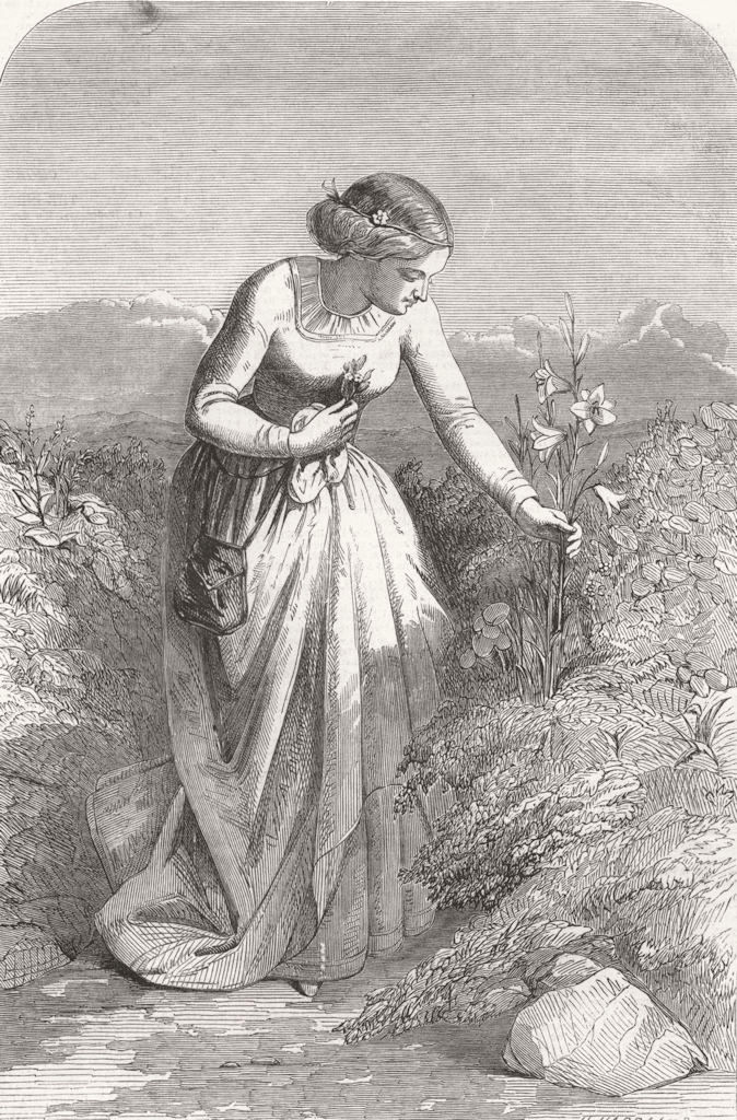 PRETTY LADIES. The Lily 1851 old antique vintage print picture