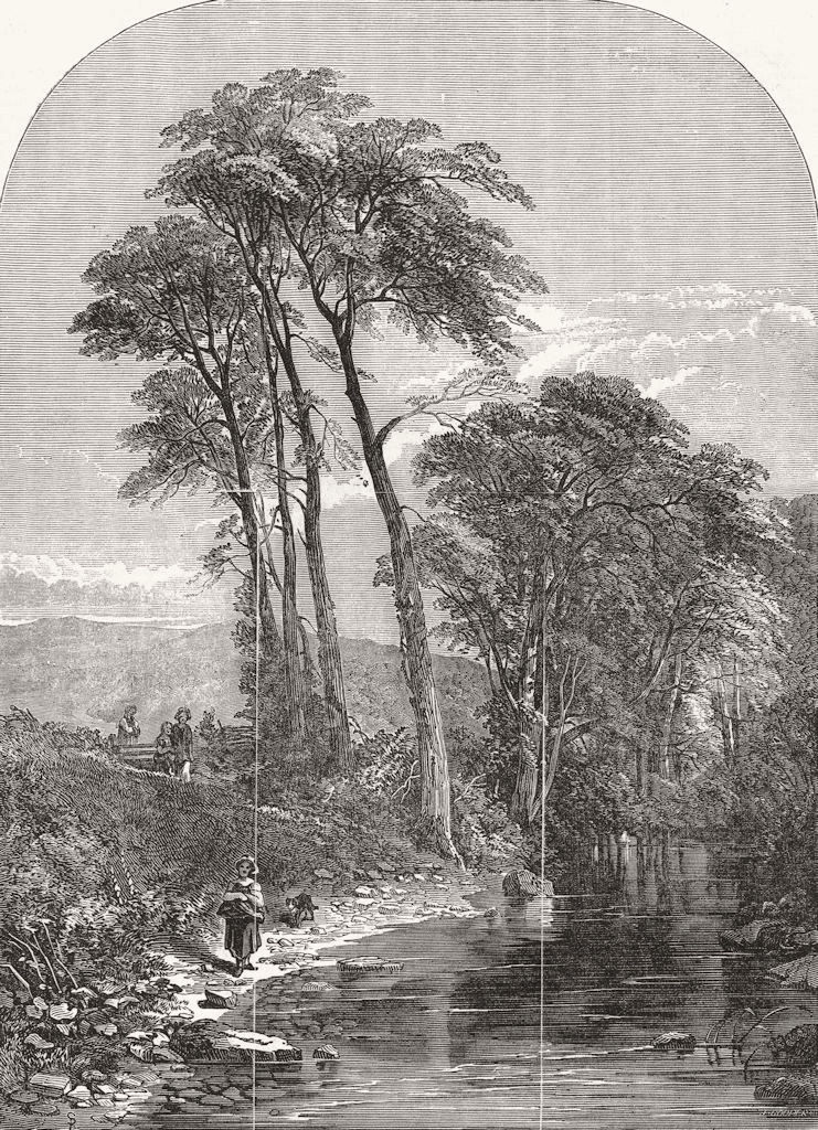 FINE ARTS. The Moorland Stream 1851 old antique vintage print picture