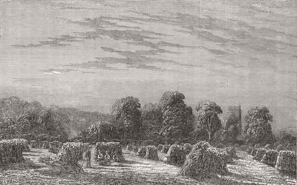 LANDSCAPES. A Corn-Field. Evening 1851 old antique vintage print picture
