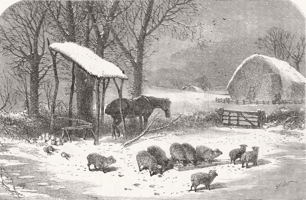 ANIMALS. Winter 1849 old antique vintage print picture