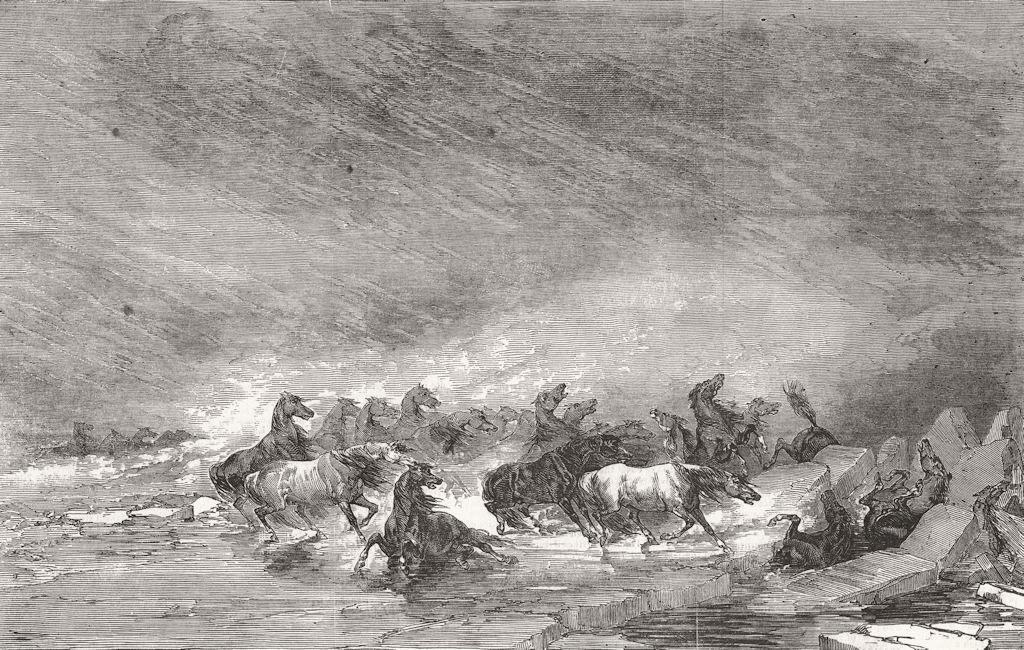 UKRAINE. Horses of Crimea, winter storm, Black Sea 1853 old antique print